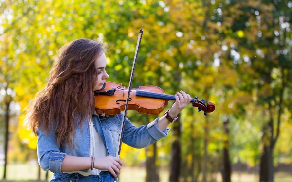 Comprehensive Violin Mastery Course