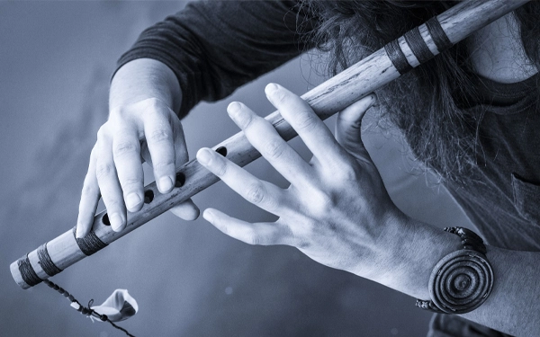 Learn Flute from LFM